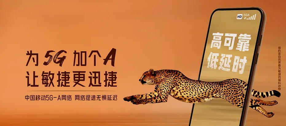 大方大方县八堡彝族苗族乡 移动宽带